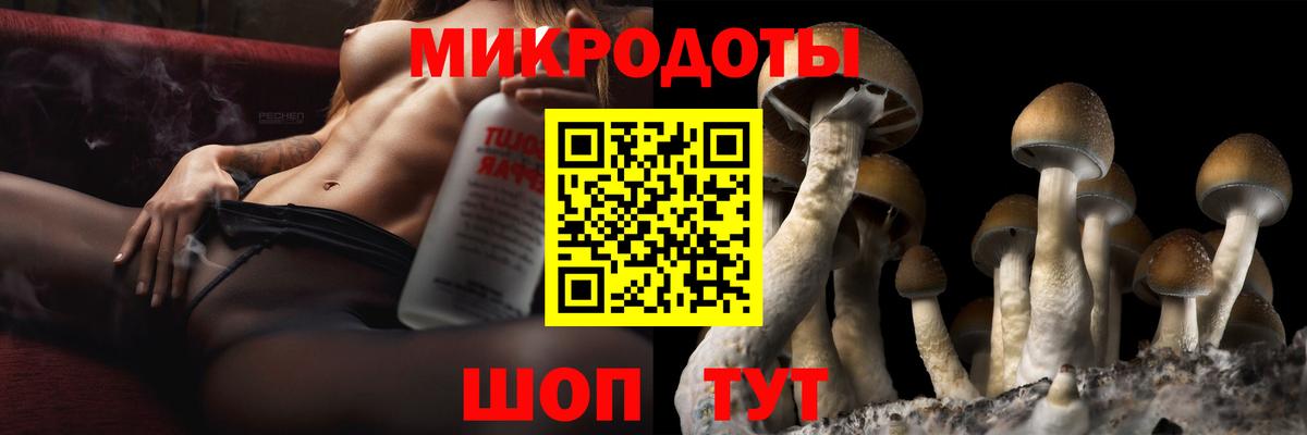 Кувандык  Галлюциногенные грибы Cubensis  Вход с VPN 